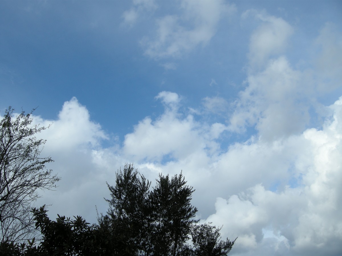 cielo del Mediterraneo